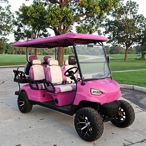 Voiturette de golf électrique certifiée CE, prix usine, 6 places, personnalisable, tout-terrain, pour routes non publiques - Product Image 2