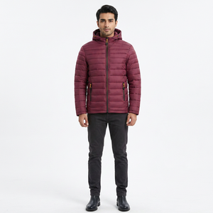 2023 High Street Men's Windproof Puffer Jacket High Quality Stand Collar Winter Coat Warm Hood Comfortable <b>Padding</b> New Fashion - Product Image 1