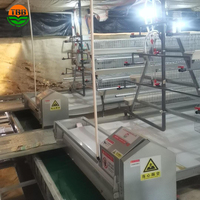 500 poulet élevage automatique pondeuse/pondeuse batterie un Type cage à poulet pour l'élevage de volailles
