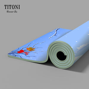 <span class=keywords><strong>TITONI</strong></span> Home Gym Fitness Equipment Non toxique antidérapant absorbant les chocs coussin élastique écologique Premium 5mm d'épaisseur tapis de Yoga - Product Image 5