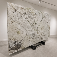 Grande dalle de granit Alpinus naturel poli pour plan de travail de cuisine, meuble-lavabo de salle de bain, revêtement mural, carrelage de sol
