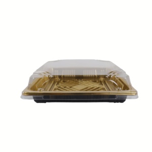 Factory Directly Sale <strong>Disposable</strong> Durable Plastic Food Container Packaging Sushi to Go Box Container square to Go <strong>Platter</strong> - Product Image 2