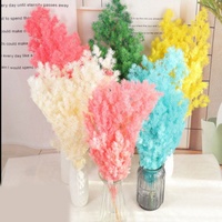 Liviflo Cadeau pour invités Mariage Plante naturelle véritable Fleur stabilisée Pin de Penglai - Décoration Fête des Mères, Saint-Valentin, Noël et Pâques