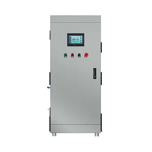 Industrieller PLC 200 g Ozongenerator mit ultrahoher Konzentration Ozongenerator Schwierigkeit Abwasserbehandlung
