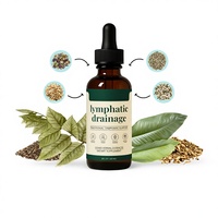 Tetes Cairan Pendukung Limfatik Tradisional OEM Echinacea Cleavers Dandelion Burdock untuk Kesehatan Imun Dewasa dan Keseimbangan Cairan Tubuh