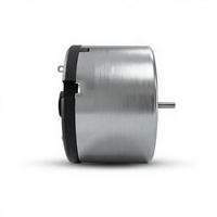 Moteur CC miniature 24V 520 à aimant permanent brossé haute vitesse pour robot, appareil ménager, jouet, personnalisé