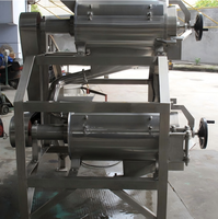 Machine à jus de fruits entièrement automatique en acier inoxydable 304 de haute performance pour oranges, mangues, fraises