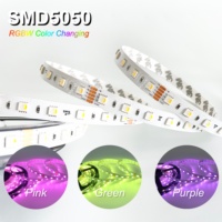 Bande LED RGBW SMD5050 personnalisée 60 LED/m DC24V 19.2W, ruban lumineux souple 10mm PCB pour bars, façades, meubles et commerce de détail