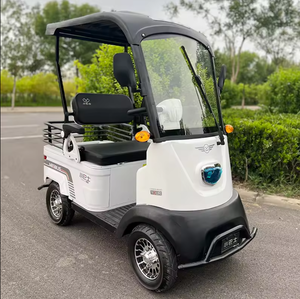Voitures de golf miniatures à prix de gros, 2 places, faciles à utiliser pour les personnes handicapées et les personnes âgées, prix bas - Product Image 4