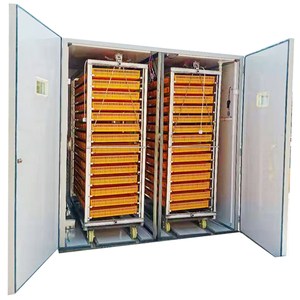 Incubateur d'œufs de poulet, de canard, de dinde et d'oie entièrement automatique à bas prix en gros avec fils 12V et 220V - Product Image 3