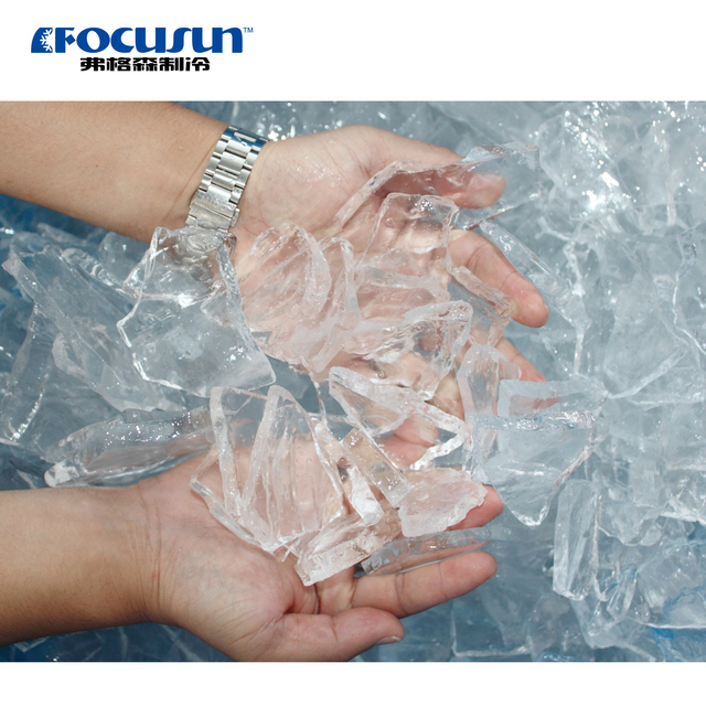 Focusun HygienicPlaque - Machine a Glace Alimentaire Pour IAA Et Cuisines Centrales