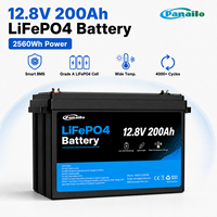 Batterie LiFePO4 PST 12,8 V 200 Ah 2560 Wh à décharge profonde pour système solaire domestique