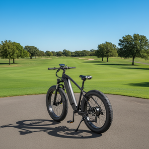 <span class=keywords><strong>Precio</strong></span> de Fábrica al por Mayor: Bicicleta Eléctrica de Montaña de Alta <span class=keywords><strong>Calidad</strong></span> con Neumáticos Anchos, Todoterreno, con Asistencia y Luces Recargables - Product Image 3