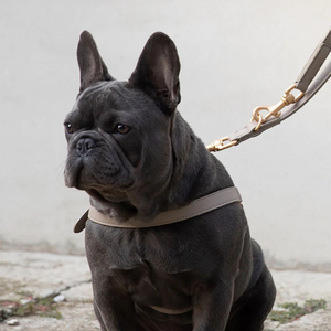 Juego de arnés para perros Fullto Medium, Correa y arnés de lujo para perros, arnés para perros sin tirones - Product Image 2