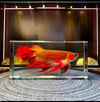 Ornement de boule de verre porte-bonheur Feng Shui chinois pour bureau, statue attirant la richesse