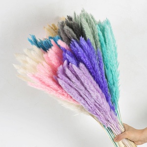 Fleurs séchées de pampa (blanchies) pour décoration de mariage, fête des mères, Saint-Valentin, Noël, Pâques - Multicolore, 60 cm de <span class=keywords><strong>longueur</strong></span> - Product Image 1