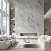 Dalle de marbre dolomite super blanc - Marbre naturel blanc avec veinage gris pour comptoir, mur et sol, grande dalle polie