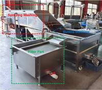 Machine professionnelle de lavage et de traitement du gingembre, haute efficacité, pour le nettoyage du gingembre et du curcuma