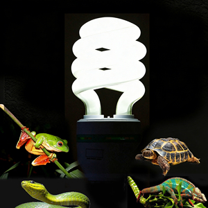 Lampada UV Compatta Fluorescente 13W 26W E26 E27 per Rettili, UVA+UVB, Integratore di Calcio, Vitamina D3, Lampada UV per Tartarughe e Draghi - Product Image 4