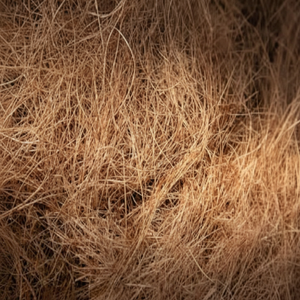 Fibre de coco de qualité exportée, fibre de coco forte et propre, parfaite pour les grossistes mondiaux et les acheteurs industriels - Product Image 1