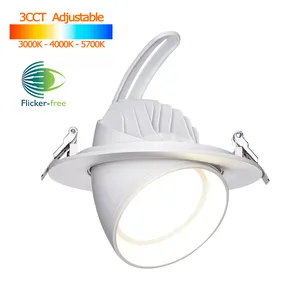 8 Inci 48W 60W SMD Gimbal LED Downlight Dapat Disesuaikan LED Tersembunyi Lampu Bawah 6 Inci 20W 28W 38W COB LED Gimbal Cahaya Turun