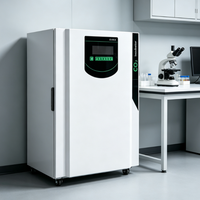 Incubateur de laboratoire CO2 pour la culture cellulaire et bactérienne, alarme intelligente de surchauffe par micro-ordinateur