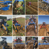 Implementos Agrícolas para Tractor: Cosechadora de Patatas de 3 Puntos, Excavadora de Batatas, Herramientas Agrícolas, Cosechadora de Ajo en Venta
