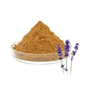 خلاصة زهرة اللافندر/خلاصة زهرة اللافندر/مسحوق خلاصة اللافندر - Product Image 2