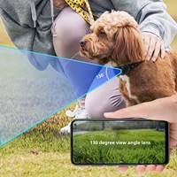 Caméra de surveillance pour animaux de compagnie 4G avec vision nocturne, enregistreur monté sur le cou, streaming en direct, collier intelligent