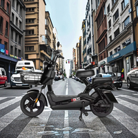 Vélo Électrique Haute Puissance en Gros, E-Bike Longue Portée avec Batterie au Plomb pour Adulte