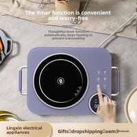 Cuisinière à induction carrée intégrée, plaque chauffante à induction pour fondue, pour usage domestique ou pour restaurants de fondue et de barbecue