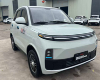 Nouveau véhicule électrique à quatre roues de luxe pour l'intérieur
