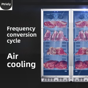 Petit <span class=keywords><strong>armoire</strong></span> de maturation pour viande de bœuf domestique, 1 porte, garantie 1 an, préservation des poissons de mer profonds, affichage vertical pour viande de qualité supérieure et steaks, séchage - Product Image 6