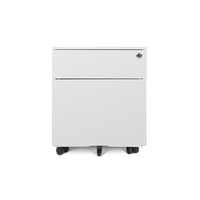 Armoire de classement mobile moderne en métal à ouverture latérale, 2 tiroirs réglables, verrouillable, écologique, avec serrure à clé pour la maison, le bureau, l'atelier, l'école