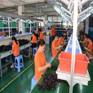 Bomba de agua refrigerante para coche, piezas de automóvil, piezas de bomba de agua para bmw <span class=keywords><strong>mini</strong></span> r56, 11537630368, 11537619360 - Product Image 5