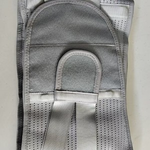 Steel plate lumbar support belt, autumn and winter style, lumbar support belt for men and women, lumbar support, mesh lumbar - Product Image 2