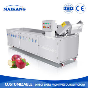 Machine de nettoyage multifonctionnelle à l'ozone pour asperges, pêches, concombres, poires, aubergines, coriandre, fruits et légumes - Product Image 5