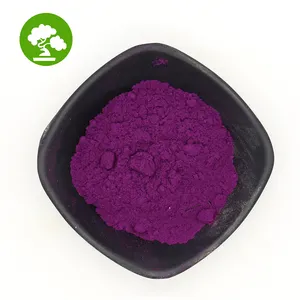 Low Price Bulk Stock Blueberry Extract Powder 25% Anthocyanidins Powder