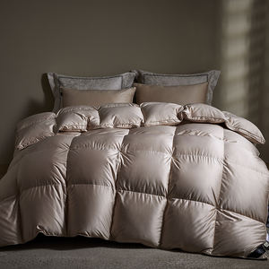 Luxe personnalisé entièrement <span class=keywords><strong>duvet</strong></span> d'<span class=keywords><strong>oie</strong></span> et <span class=keywords><strong>duvet</strong></span> de <span class=keywords><strong>canard</strong></span> hôtel <span class=keywords><strong>couette</strong></span> Patchwork motif maison et hôtel <span class=keywords><strong>couette</strong></span> insérer - Product Image 3