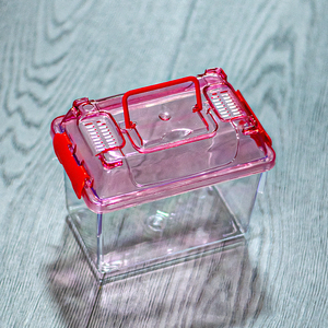 Hot Sale Portable <strong>Plastic</strong> Cup with Animal Pattern Snap Button Closure <strong>Terrarium</strong> Fish Tank for Betta Fish Reptile WN Series - Product Image 5