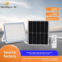 Lampu Sorot LED Tenaga Surya IP66 yang Dapat Disesuaikan, Dikendalikan Jarak Jauh, untuk Penerangan Halaman Luar Ruangan dan Jalan Pedesaan, Garansi 5 Tahun 3000 Jam