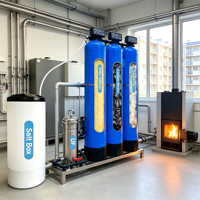 Systèmes d'adoucissement de l'eau pour toute la maison (500L/1000L/2000L) avec préfiltration et adoucissement en trois étapes pour un usage domestique