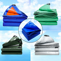 Bâche PE imperméable pour jardin, abri de plantes, bâche de protection pour bateau, voiture, camion, abri de chien, housse de pluie