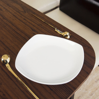 Vente chaude 10 pouces blanc mélamine carré vaisselle ensemble haute qualité réutilisable au lave-vaisselle pour restaurant servant