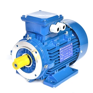 Moteur électrique à induction triphasé 22 kW 30 CV 3000 tr/min avec indice de protection IP55 et enroulement 100 % cuivre - Product Image 2