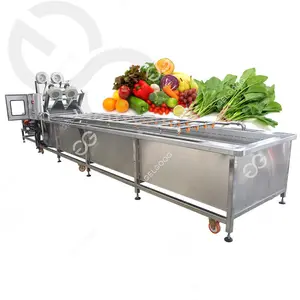 Industrial Continuous Fruit Bubble Cleaning Cabbage Drying Machine Vegetables Washing Processing Line