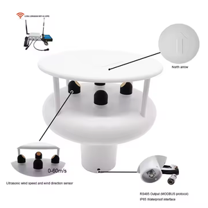 저렴한 가격 RS485 60 m/s 풍속 및 방향 2 in 1 초음파 기상 관측소 계기 해양 풍속계 보트 풍속계 - Product Image 2