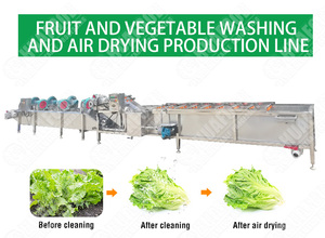 헤비 듀티 자몽 세척 및 공기 건조 라인 - Product Image 5