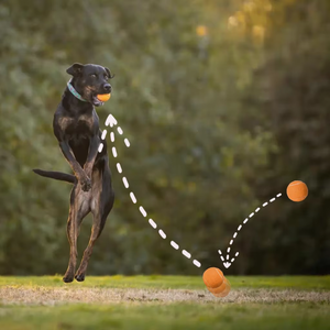 ของเล่นลูกเทนนิสสำหรับสุนัขและ<span class=keywords><strong>แมว</strong></span> ทำจากยางและกำมะหยี่ รูปทรงเหมือนจริง ใช้งานได้หลากหลาย เหมาะสำหรับฝึกฝน เป็นมิตรกับสิ่งแวดล้อม พร้อมสกรีนโลโก้ตามสั่ง เหมาะสำหรับแจกเป็นของขวัญ - Product Image 6