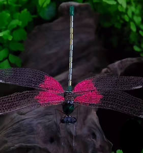 Belle décoration de libellule en métal bon cadeau pour mère et amis - Product Image 4